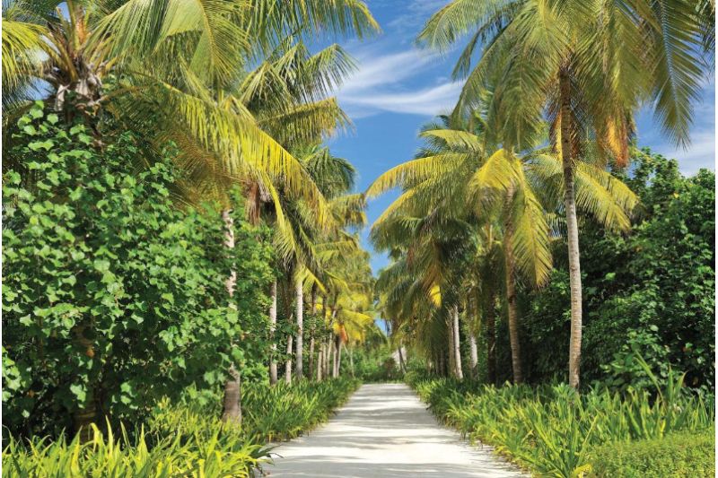 AYADA MALDIVES